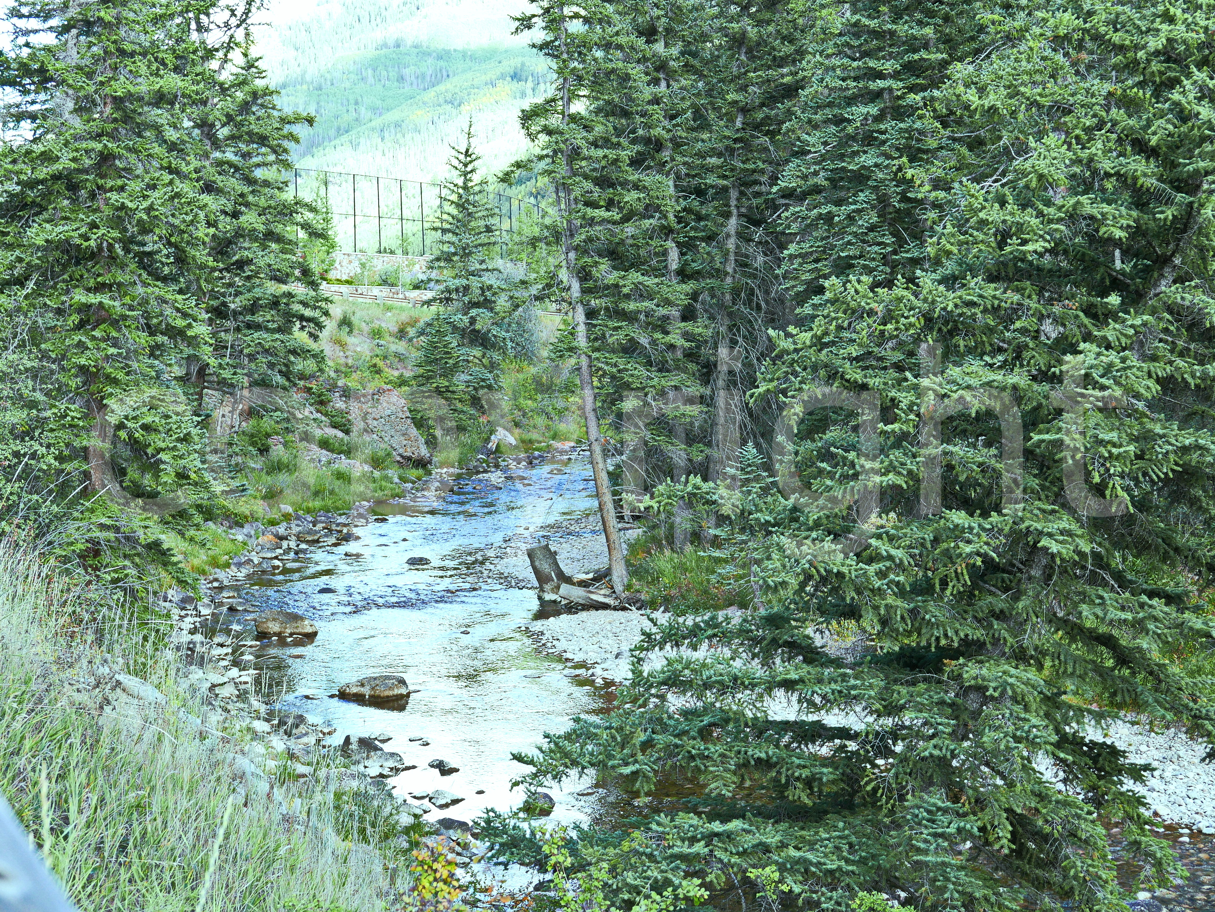 Mountain Stream In Vail Colorado
