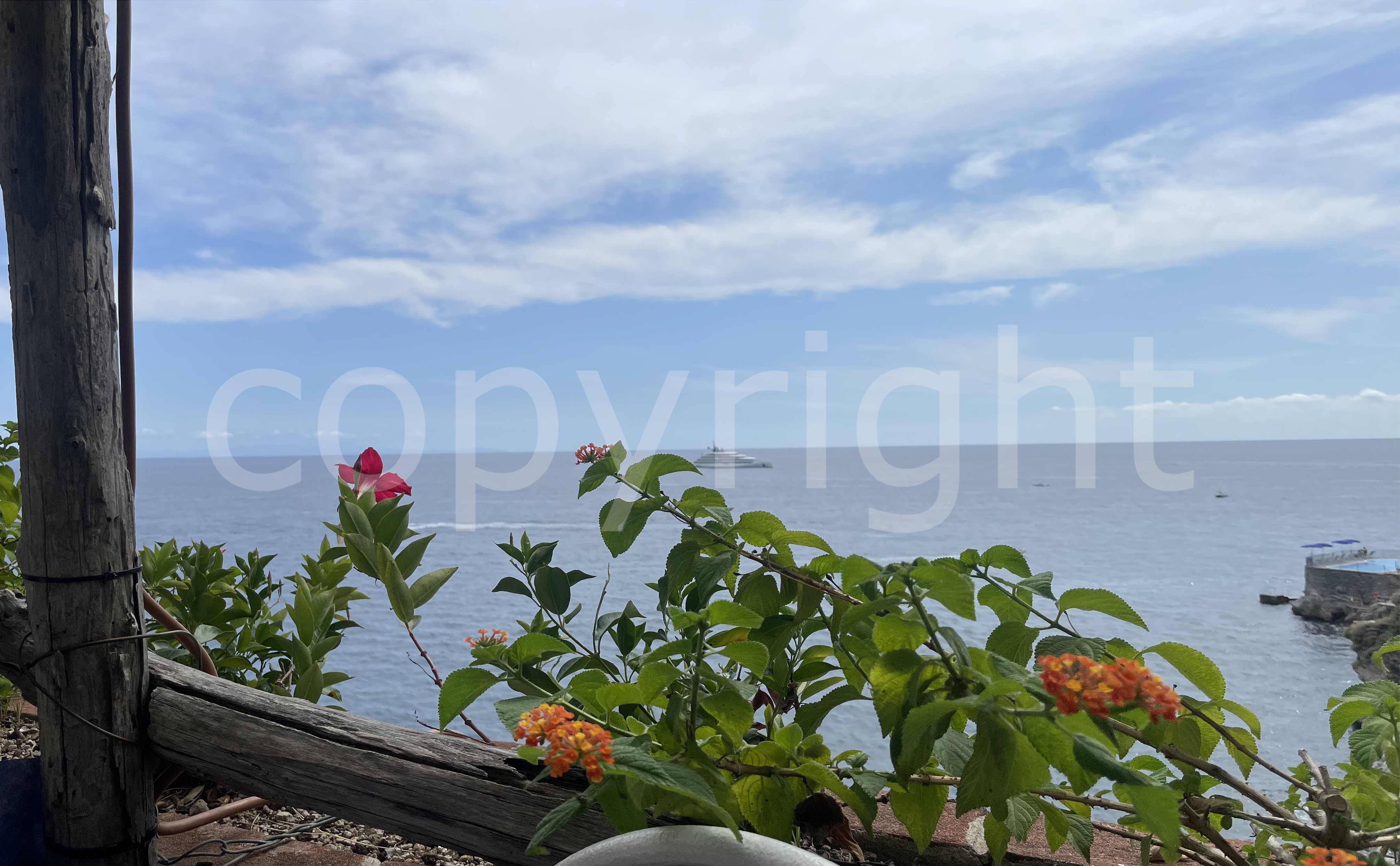 Coastal Floral View of the Mediterranean