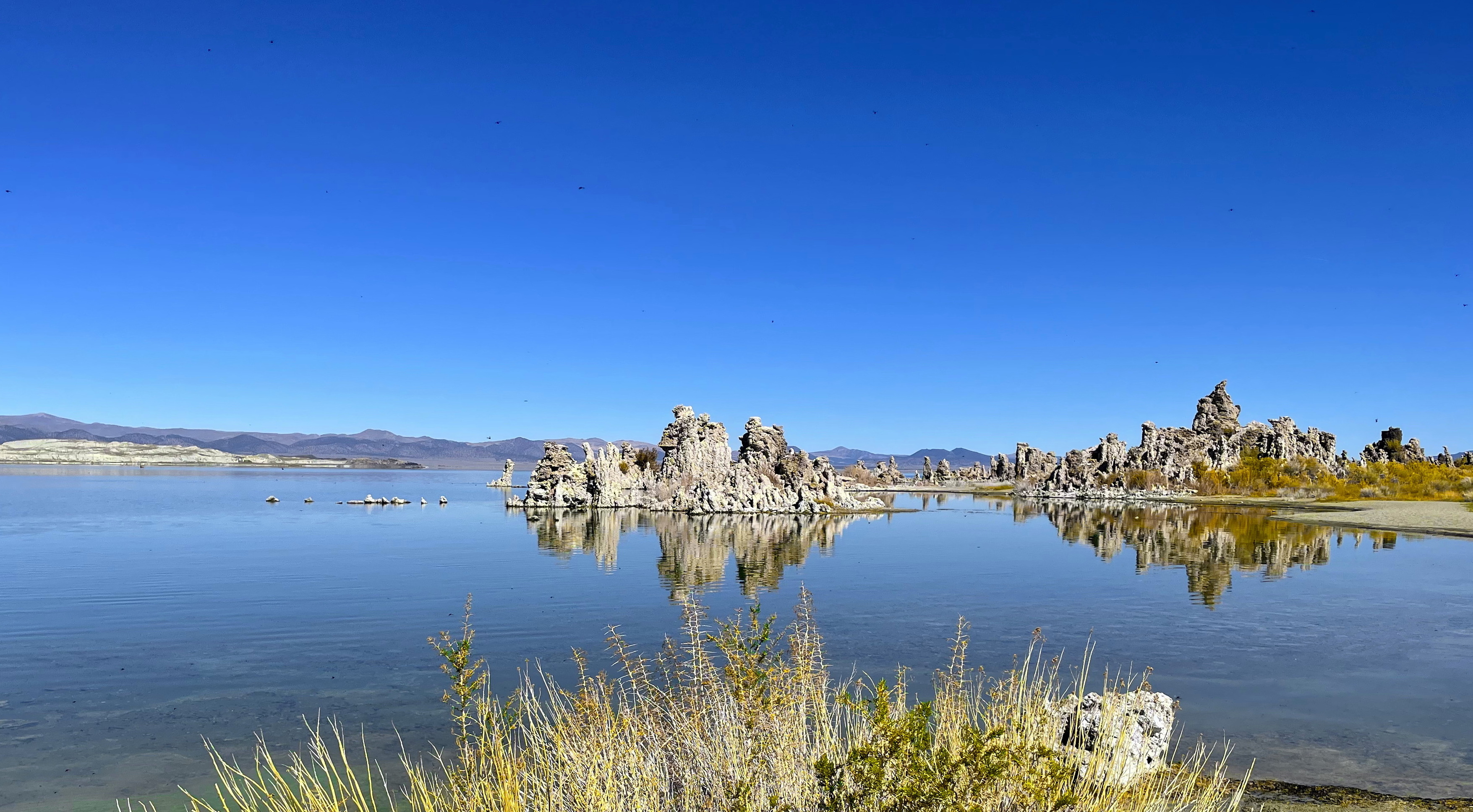 Mono Lake Nature Print