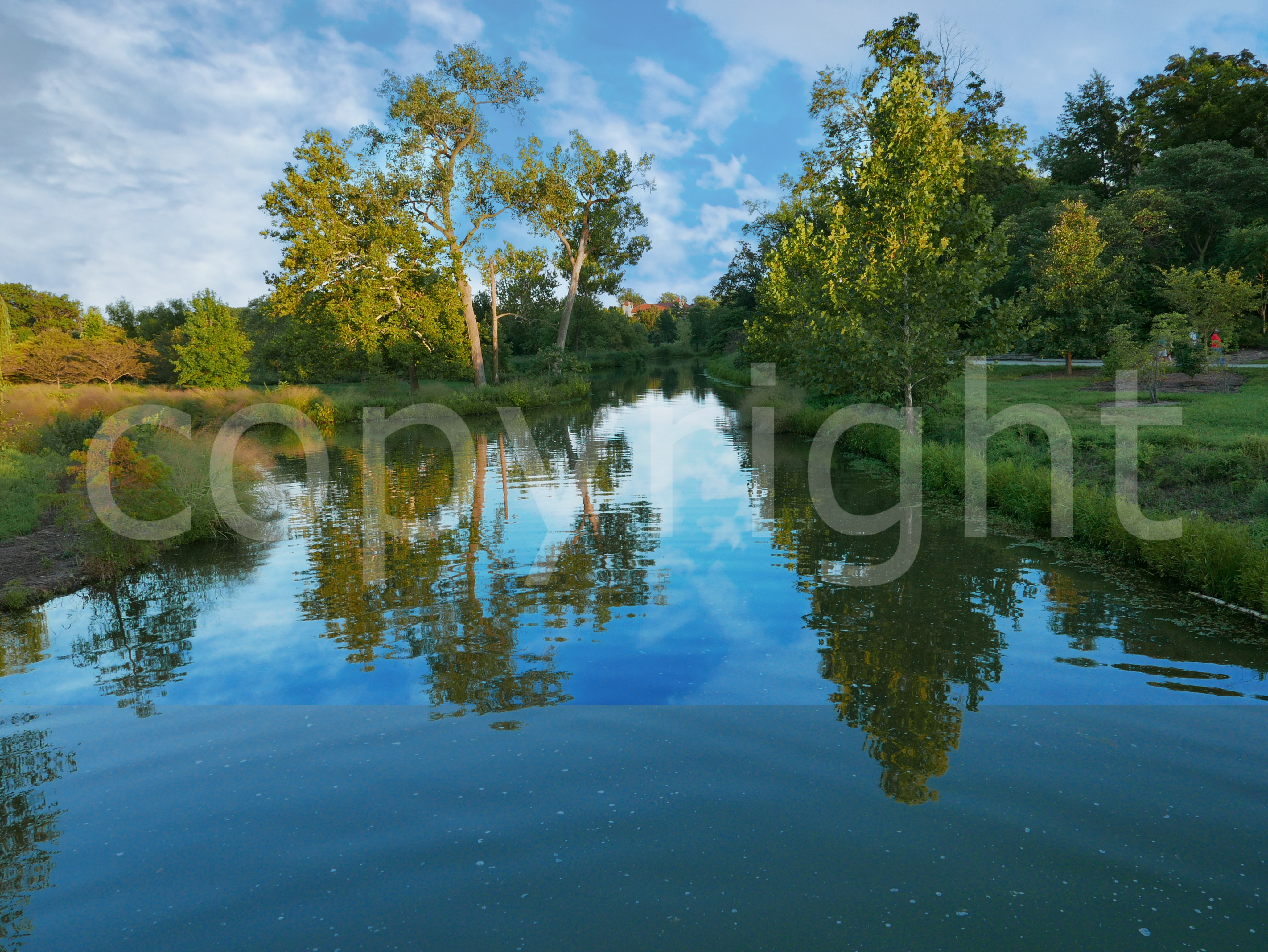 Tranquil River Landscape 