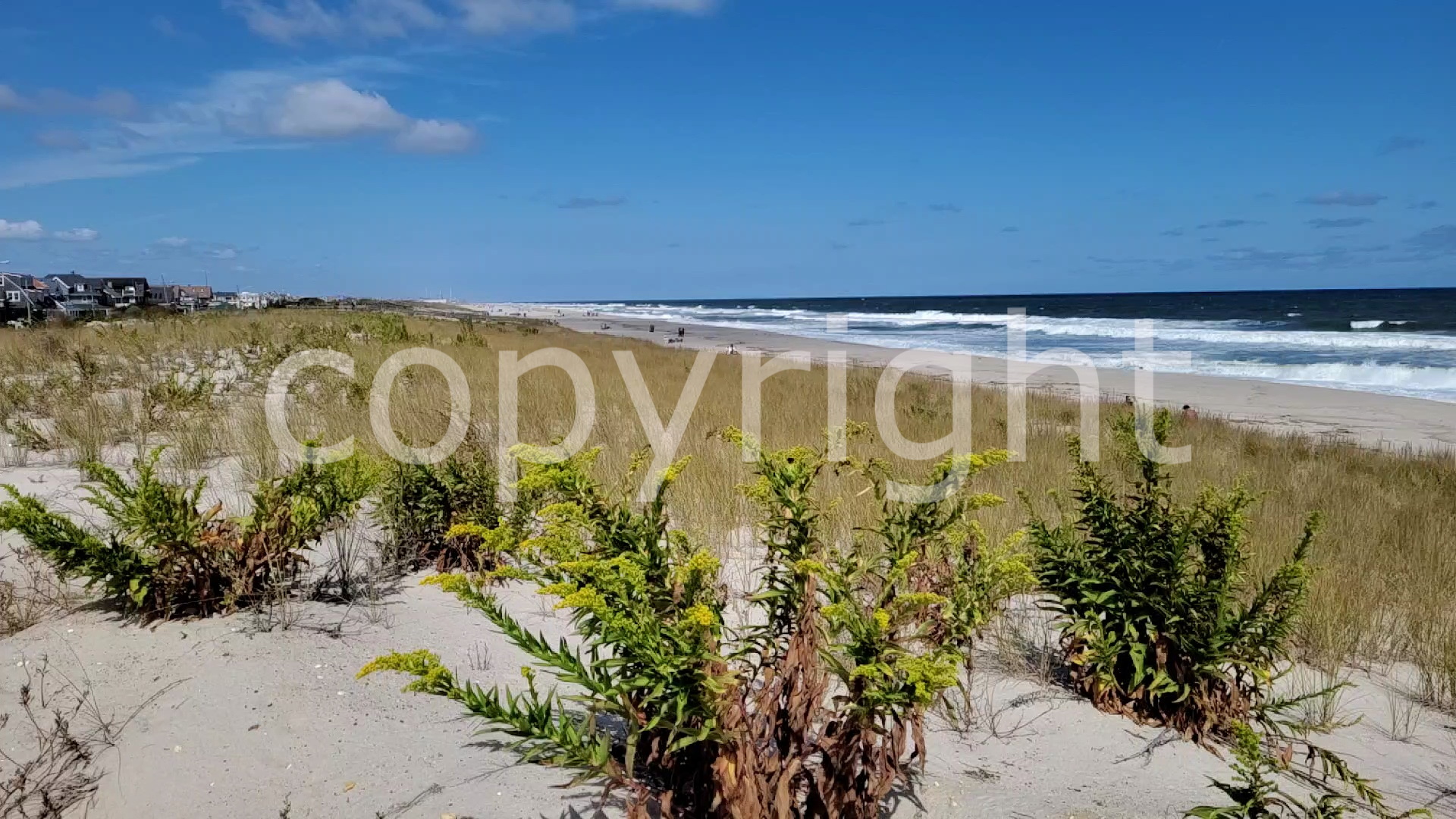 New Jersey Coastal Beach Print on Glass