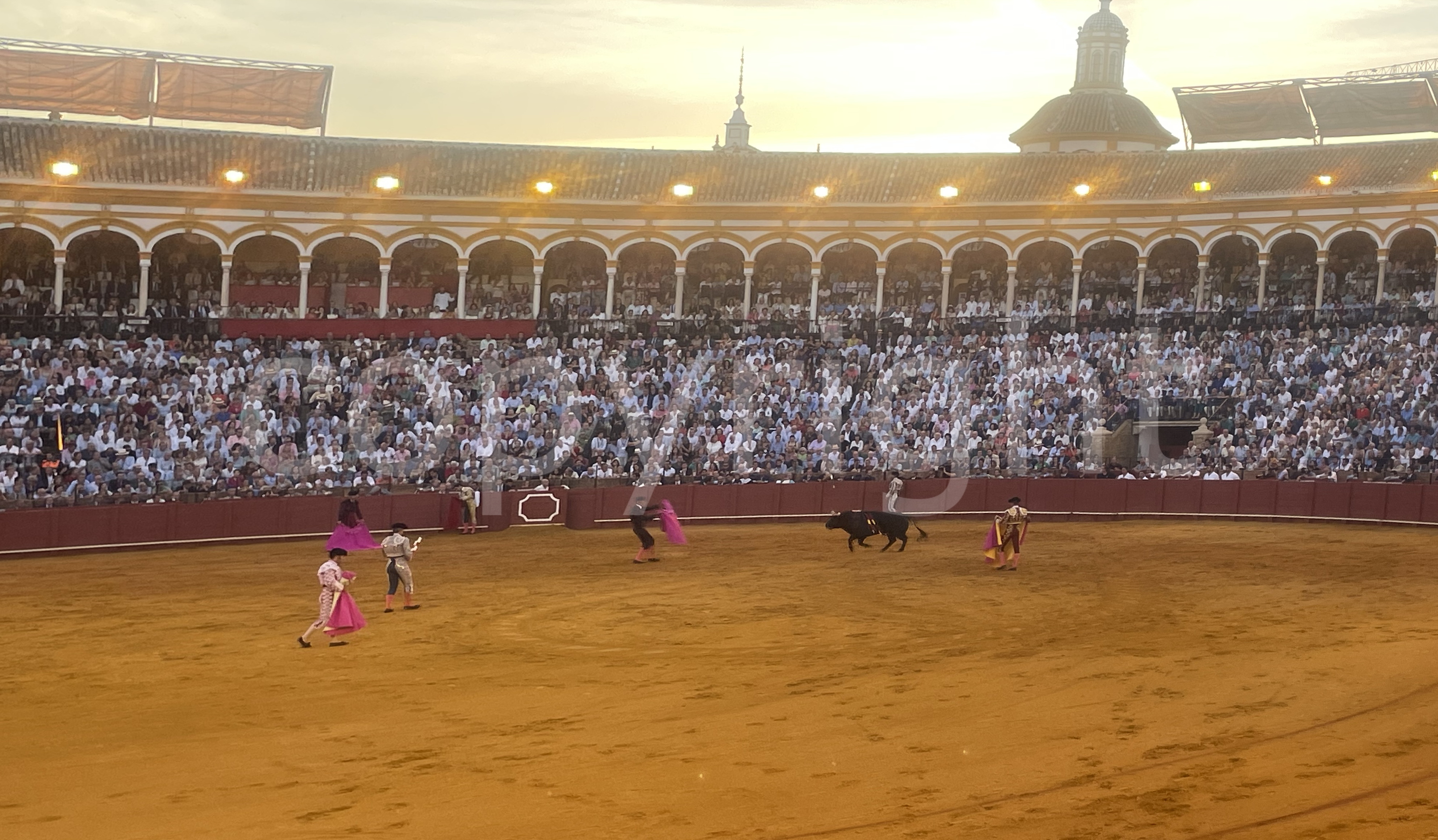 Seville Bullfighting Arena