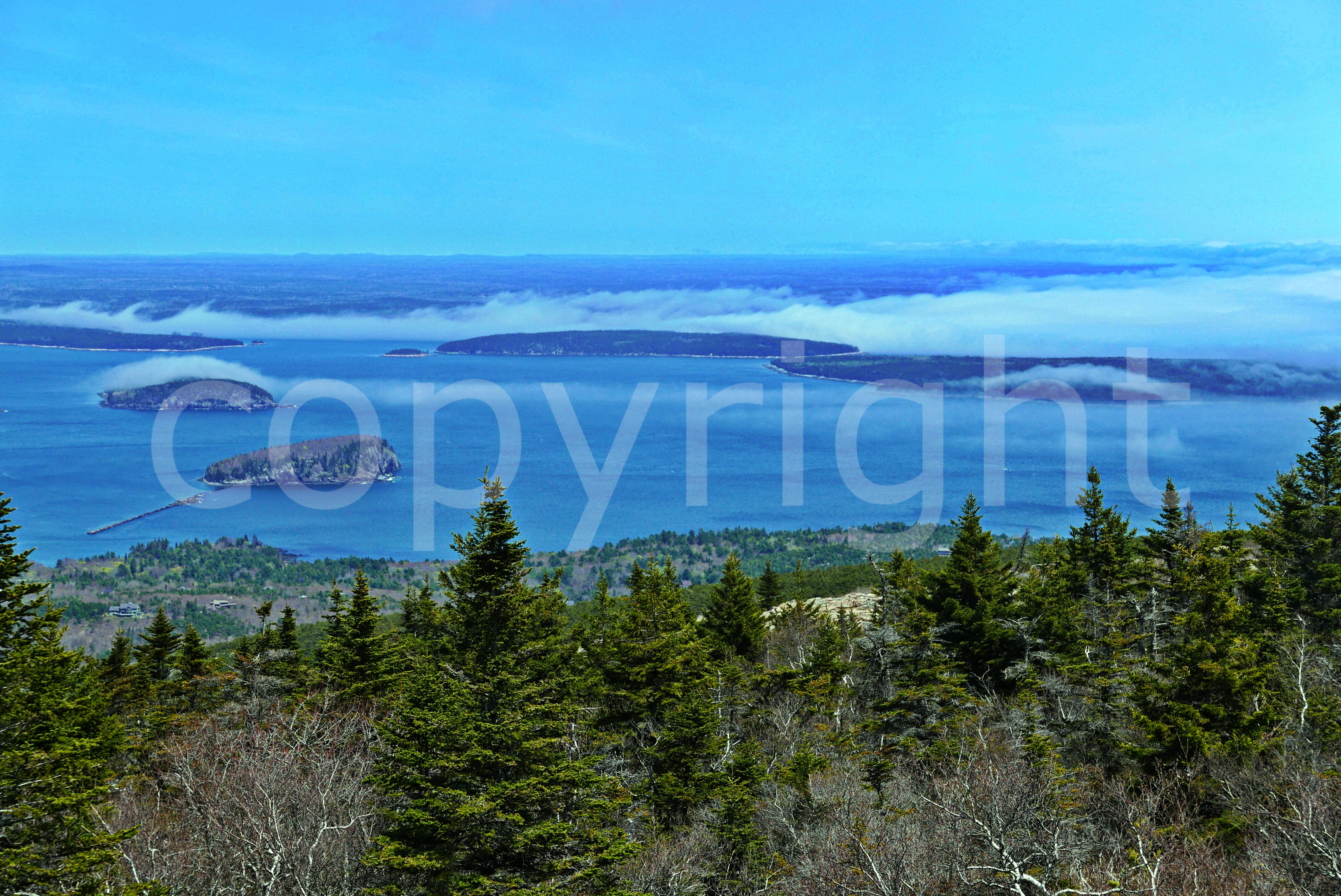 Scenic Coastal Arcadis 