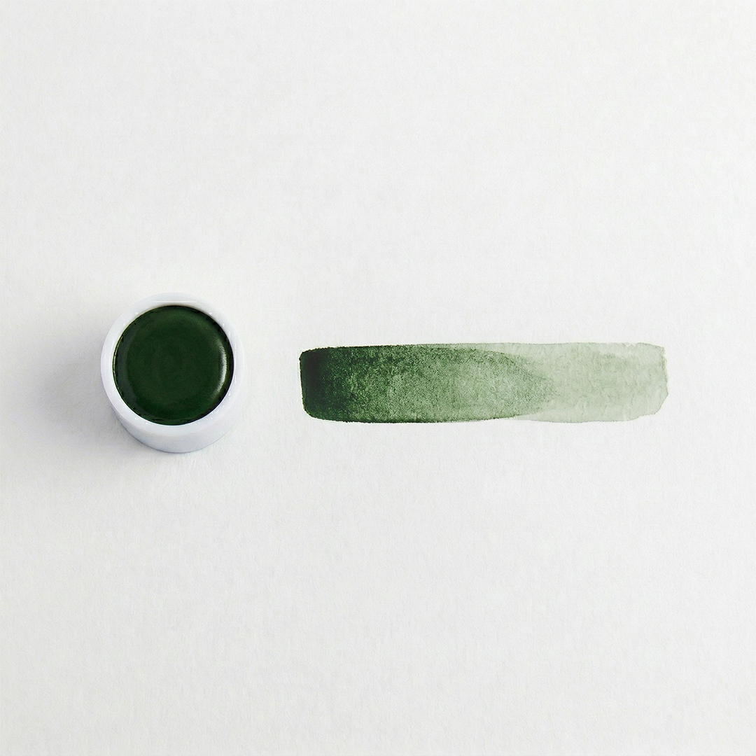 Colore BOSCO AL CREPUSCOLO