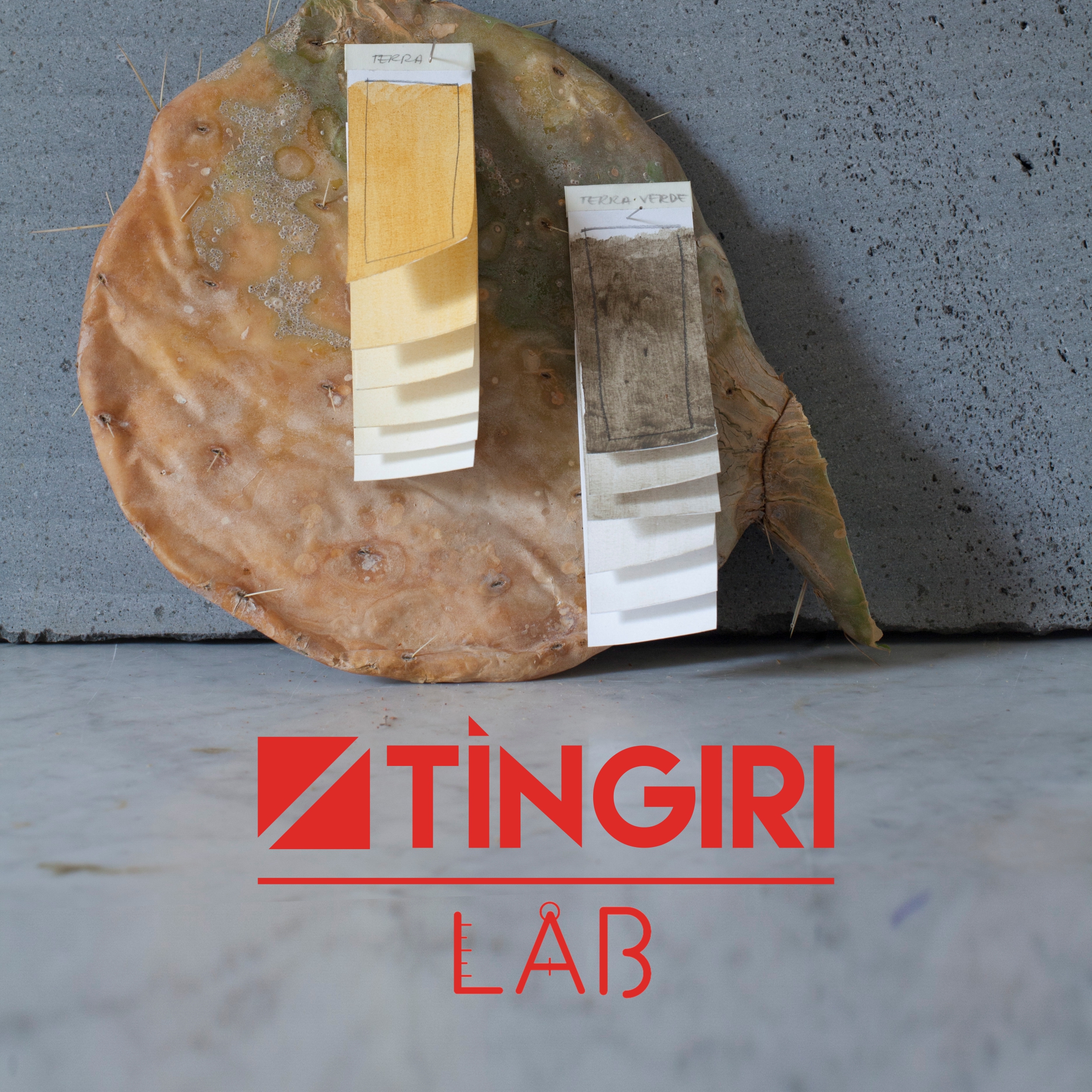 Laboratorio di Creazione di pigmenti