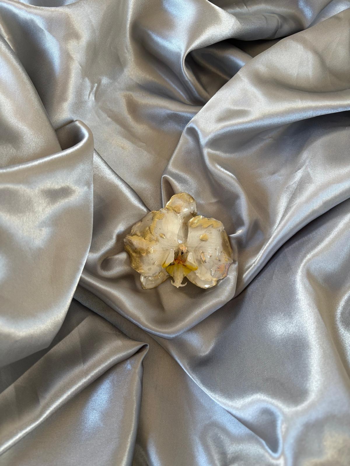 orchidée scintillante