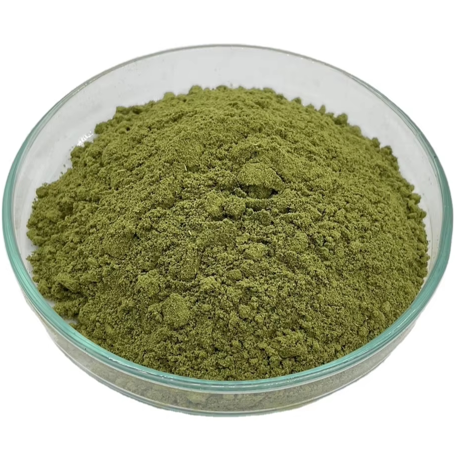 Moringa Oleifera Leaf Extract