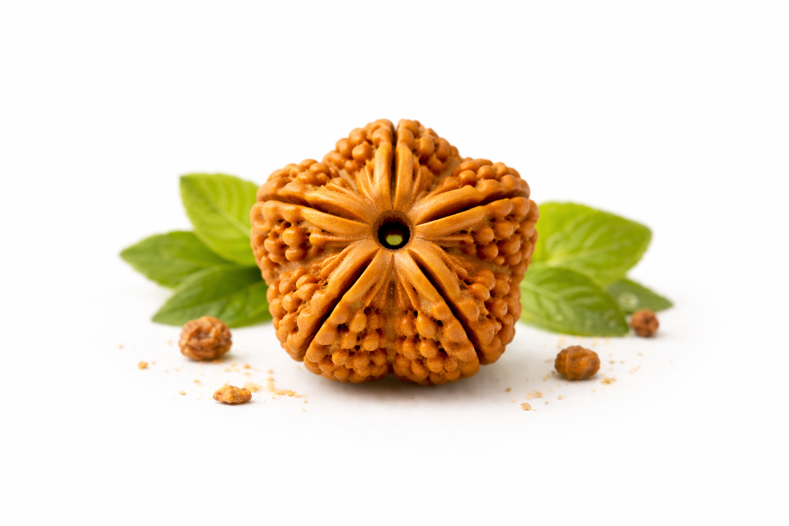 Panchmukhi Rudraksha Bead