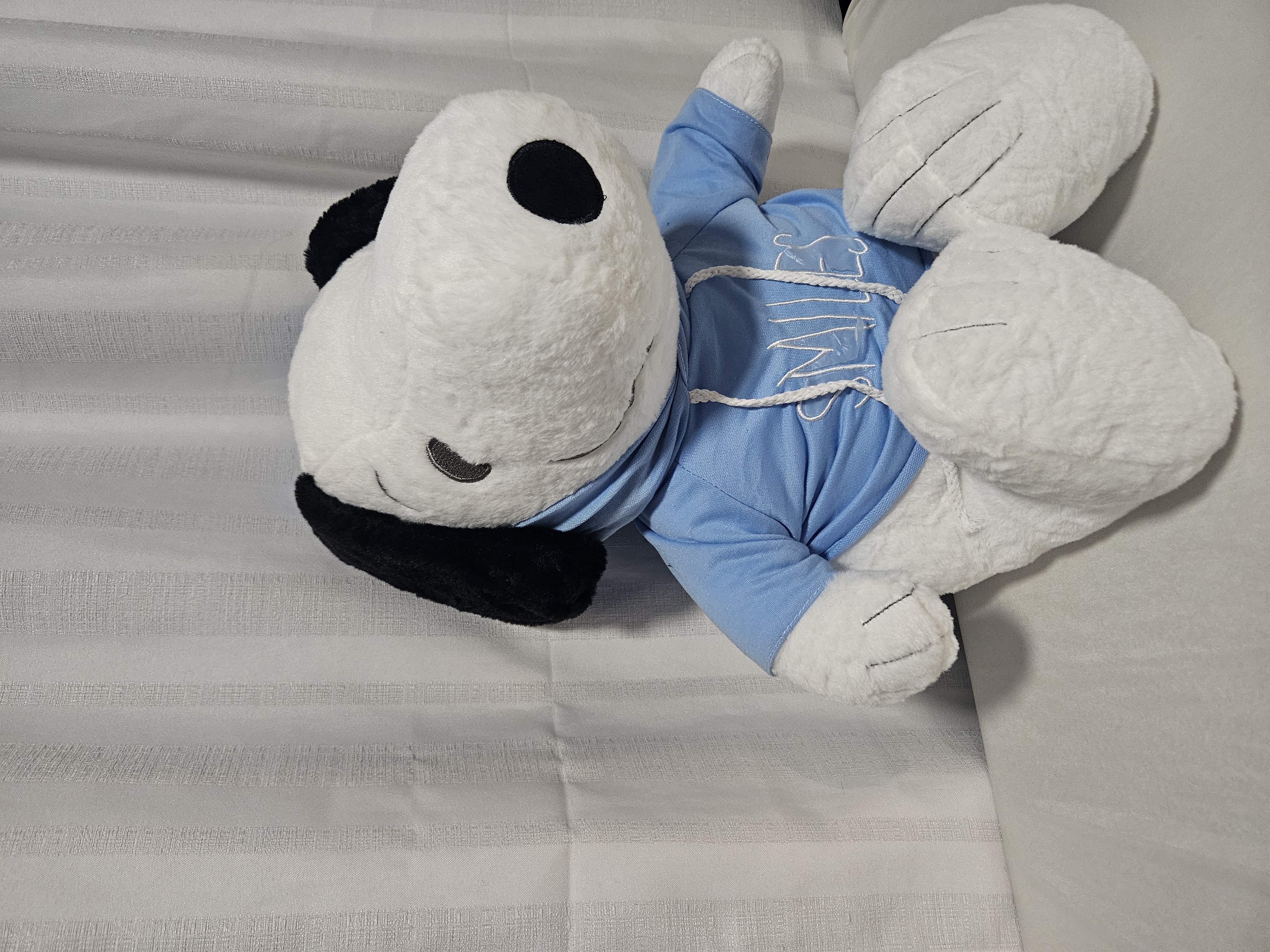 Peluche tipo Snoopy con Sudadera Azul