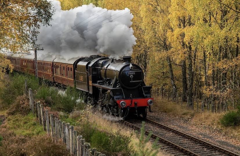 Ride on the traitor train