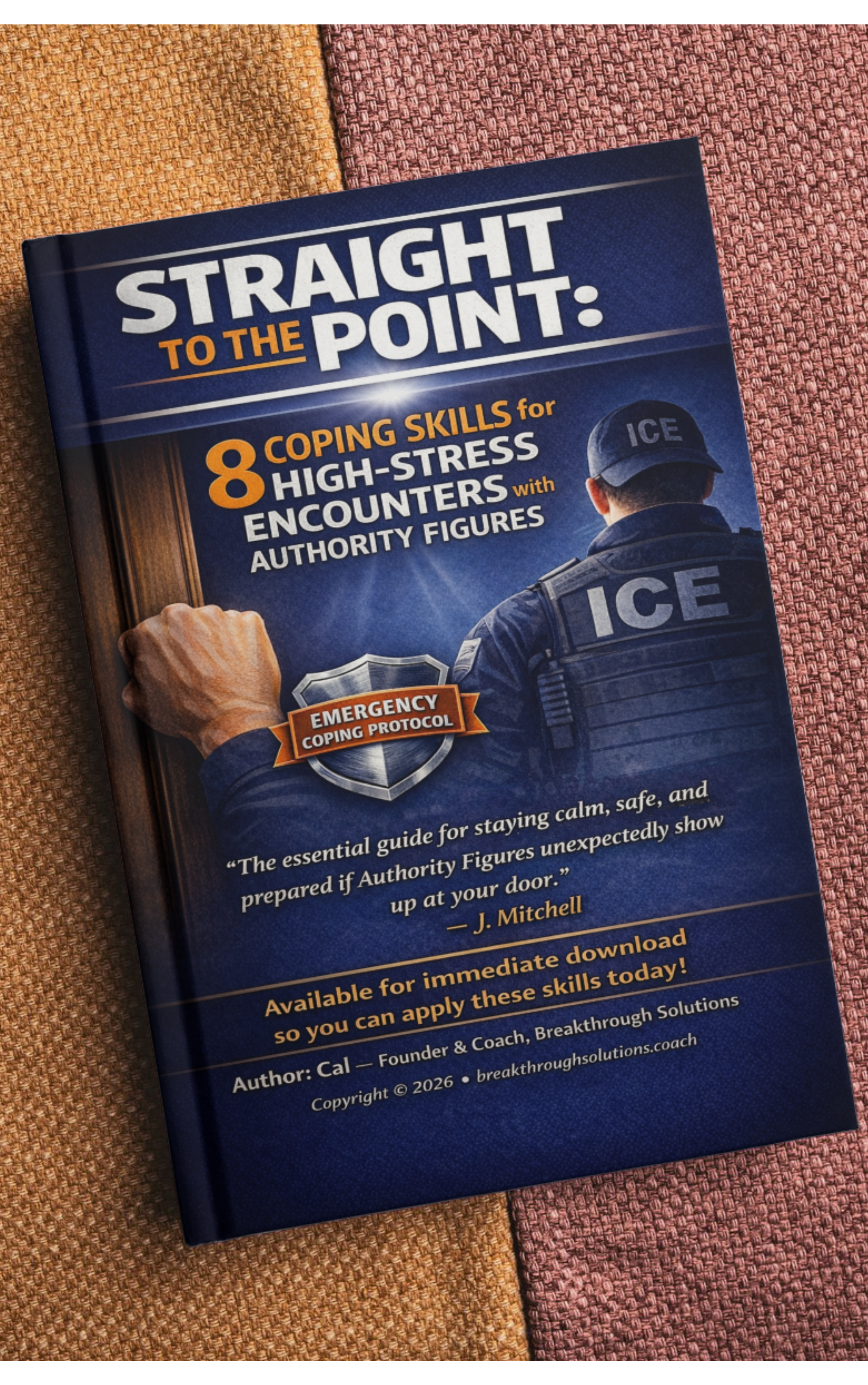 Straight to the Point: 8 Coping Skills for High Stress Encounters with Authority Figures