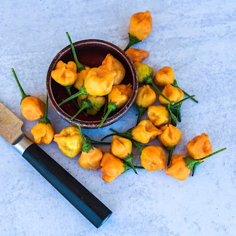 Aji Mango Pepper Hot Pepper