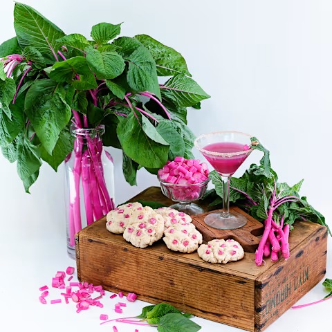 Pink Beauty Amaranth