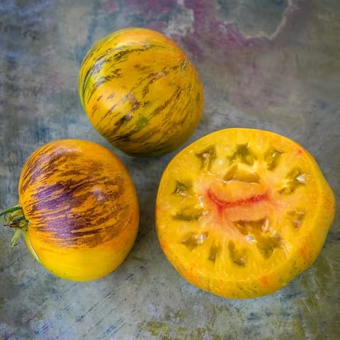 Alice's Dream Tomato