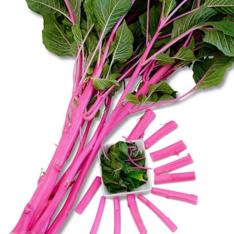 Pink Beauty Amaranth