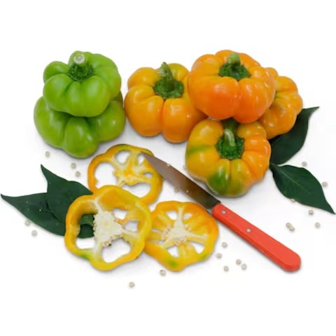 Paradicsom Alaku Sweet Pepper
