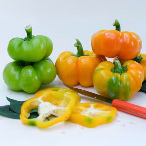 Paradicsom Alaku Sweet Pepper