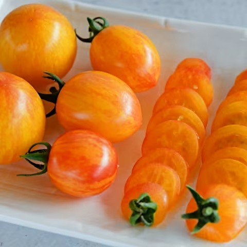 Sunrise Bumble Bee Tomato