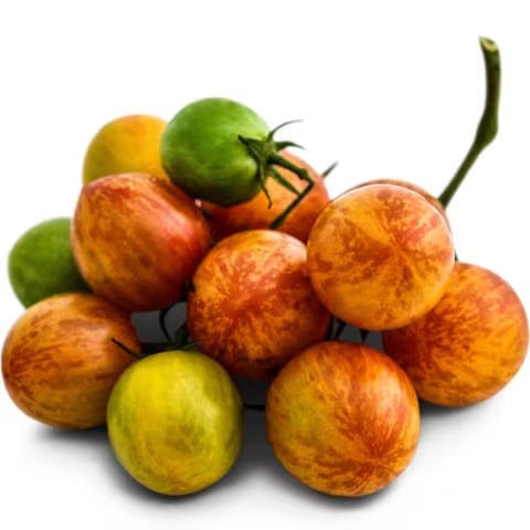 Sunrise Bumble Bee Tomato