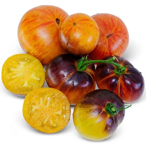 Alice's Dream Tomato