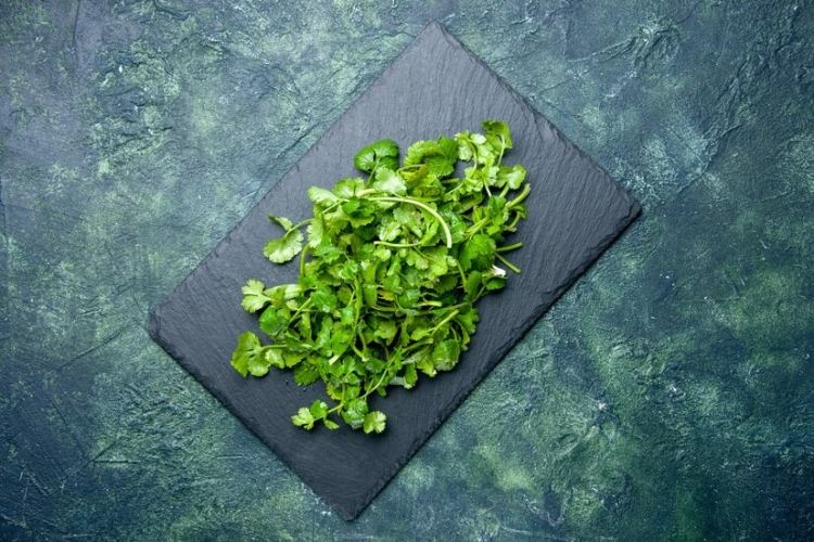 GREEN CORIANDER