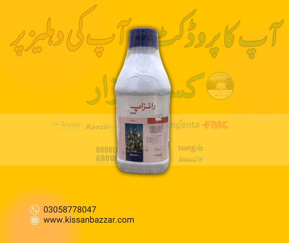 Ryzup 1Liter NPK 8 8 6 for all crops, fruit plants and flowering plants Combagro Evyol Group kanzo agpharma Esquire