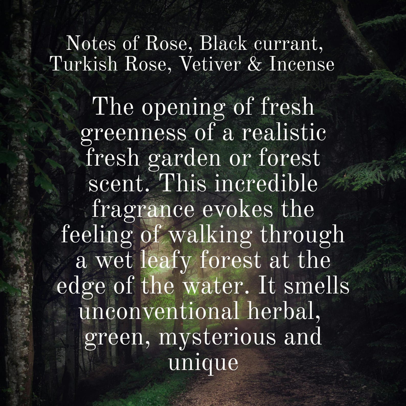 Dark Forest Perfume | Handcrafted Natural Fragrance withIncense, beetroot, Vetiver & Moss | Unisex Artisan Scent