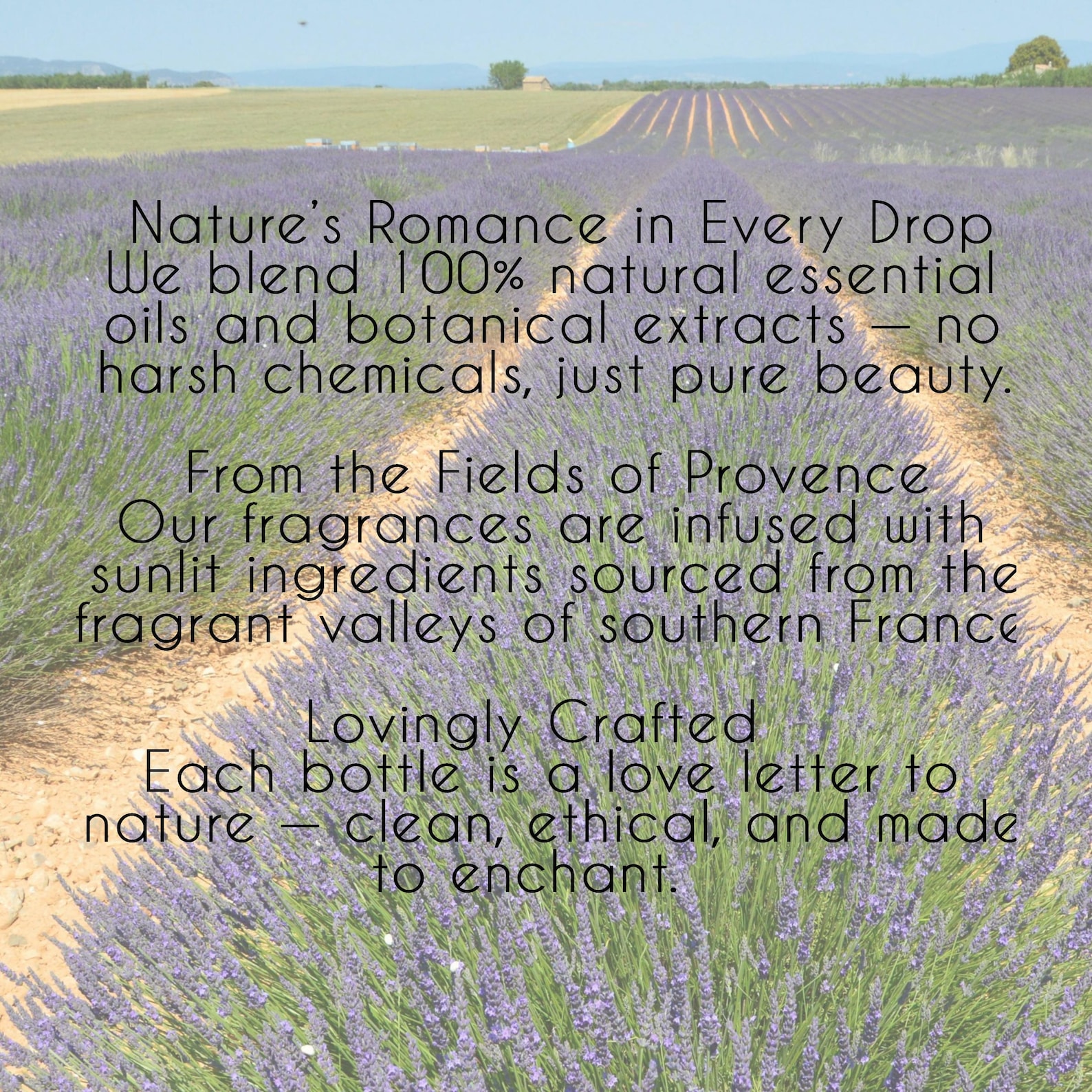 Forest Rain Fragrance – Handcrafted Nature Fragrance, Moss, Pine & Wet Earth Scent UNISEX fresh, earthy, and softly atmospheric