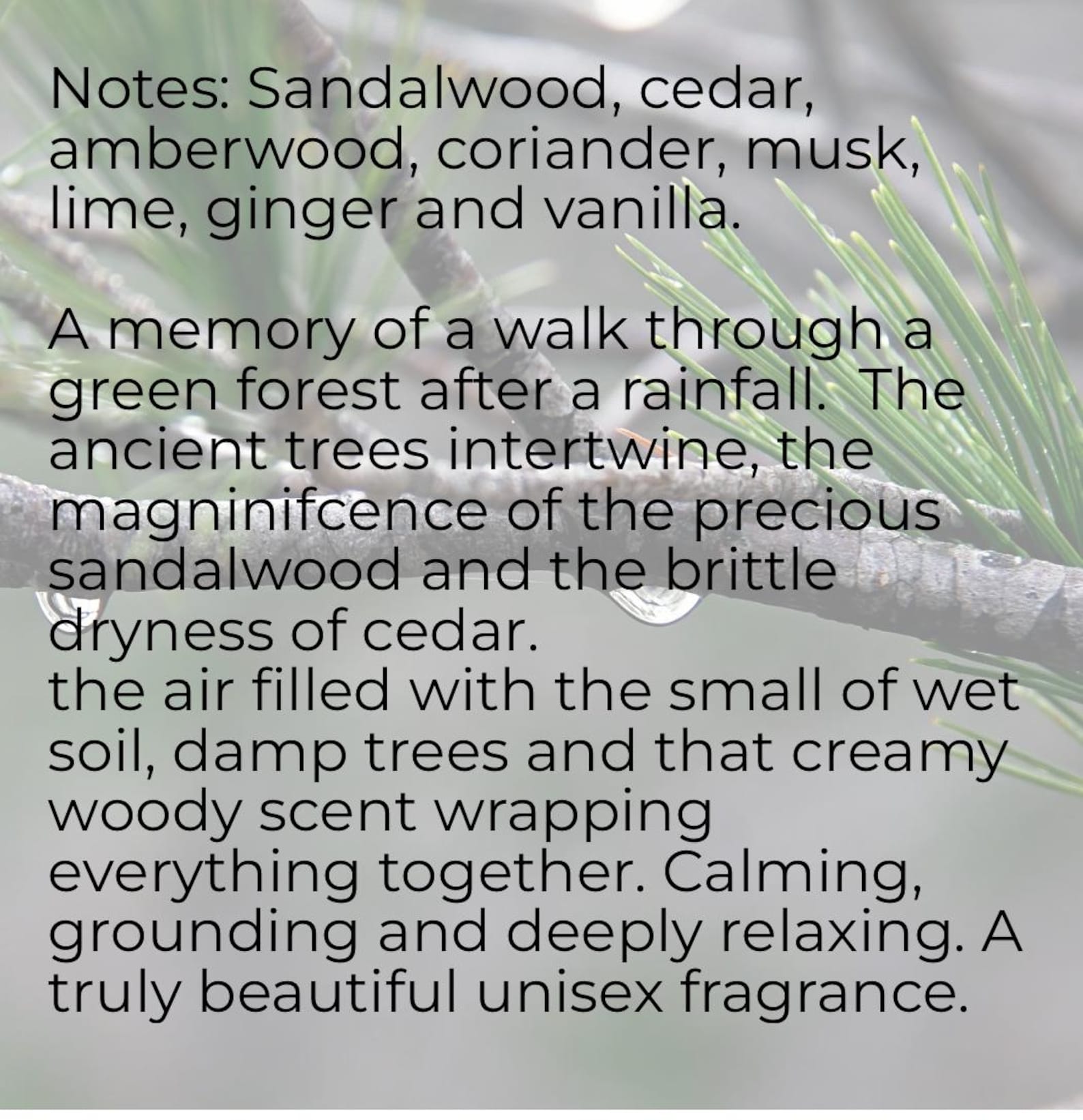 Forest Rain Fragrance – Handcrafted Nature Fragrance, Moss, Pine & Wet Earth Scent UNISEX fresh, earthy, and softly atmospheric
