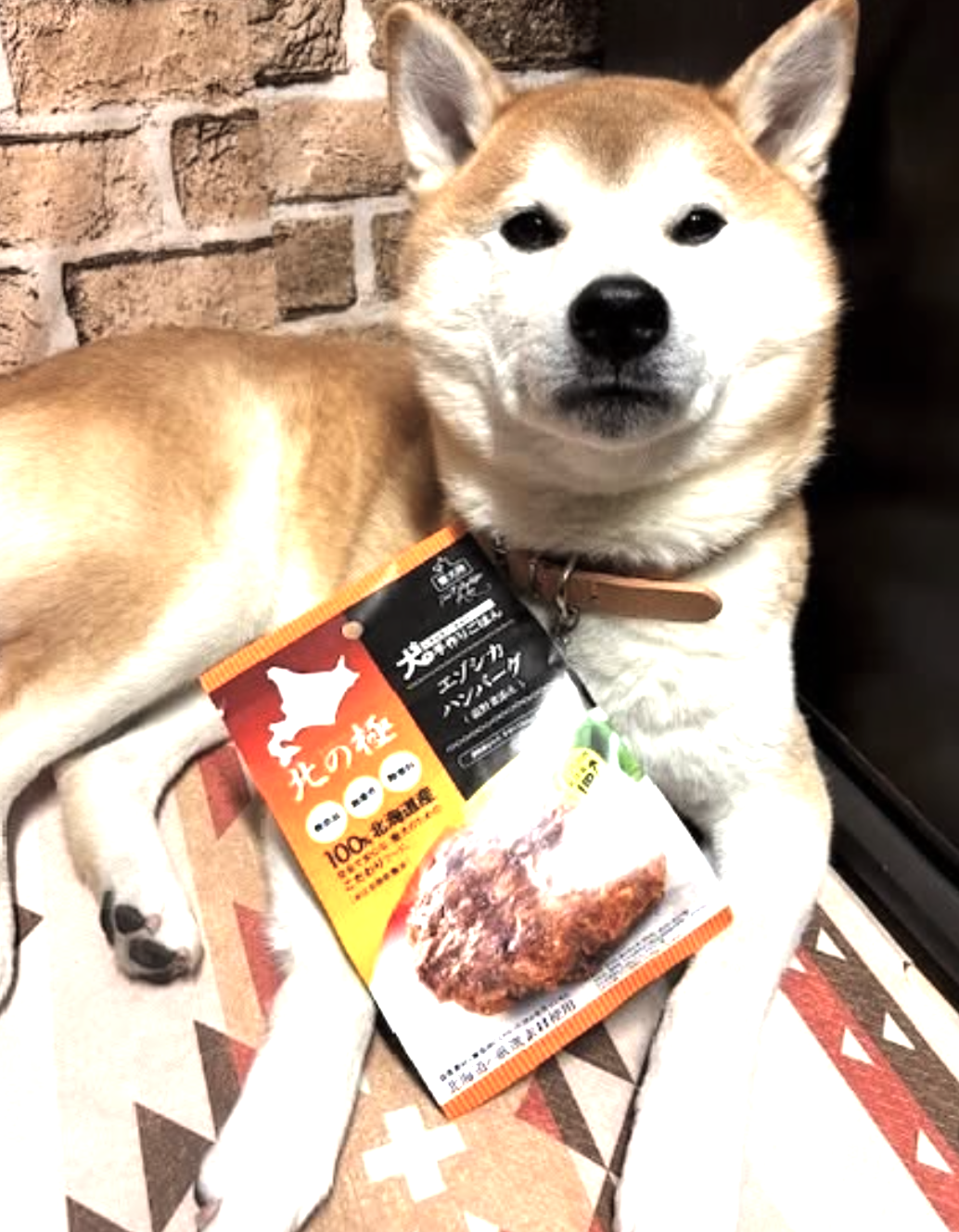 Hand-Kneaded Wild Venison & Liver Hamburg Patties – Hokkaido Sourced (80g)