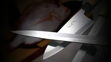 Masahiro Gyuto (Personalized) - Professional Chef Knife / Made in Seki, Japan