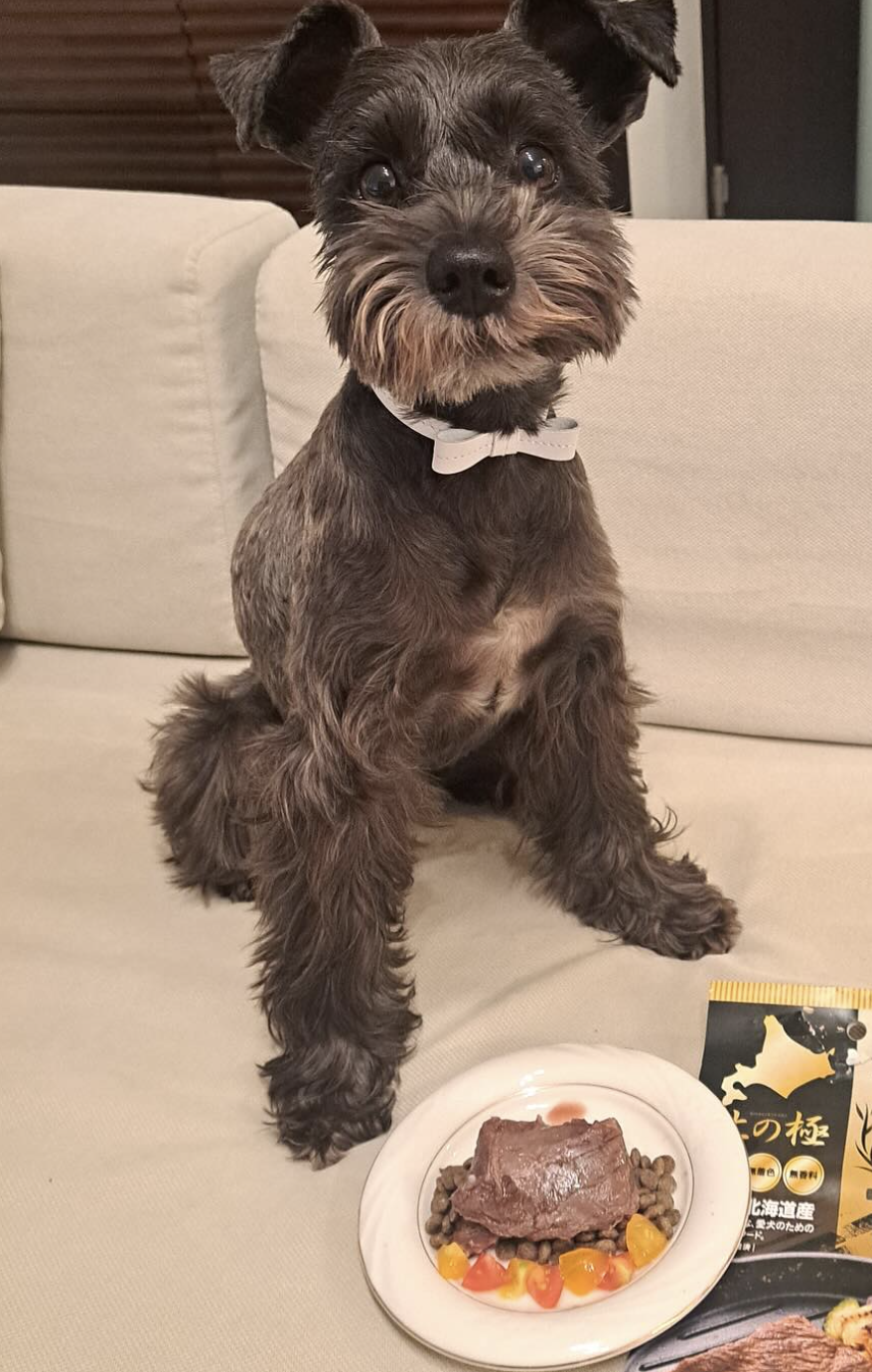 Tender Wild Venison Steak – 100% Hokkaido Premium Thigh Meat (120g)