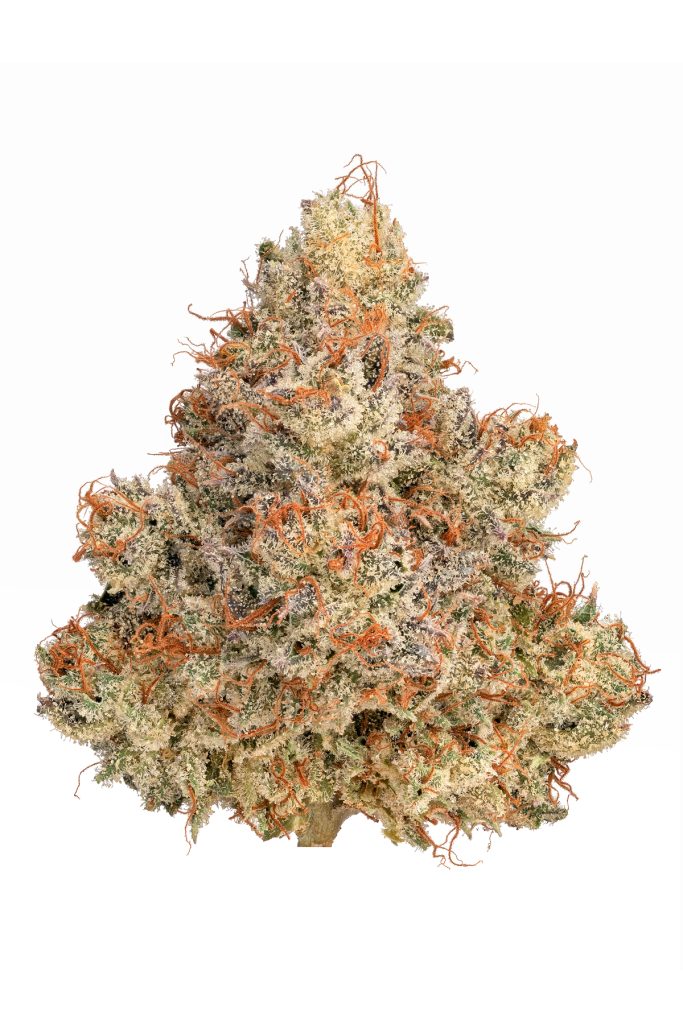 Tropical Cherry Pre-Roll