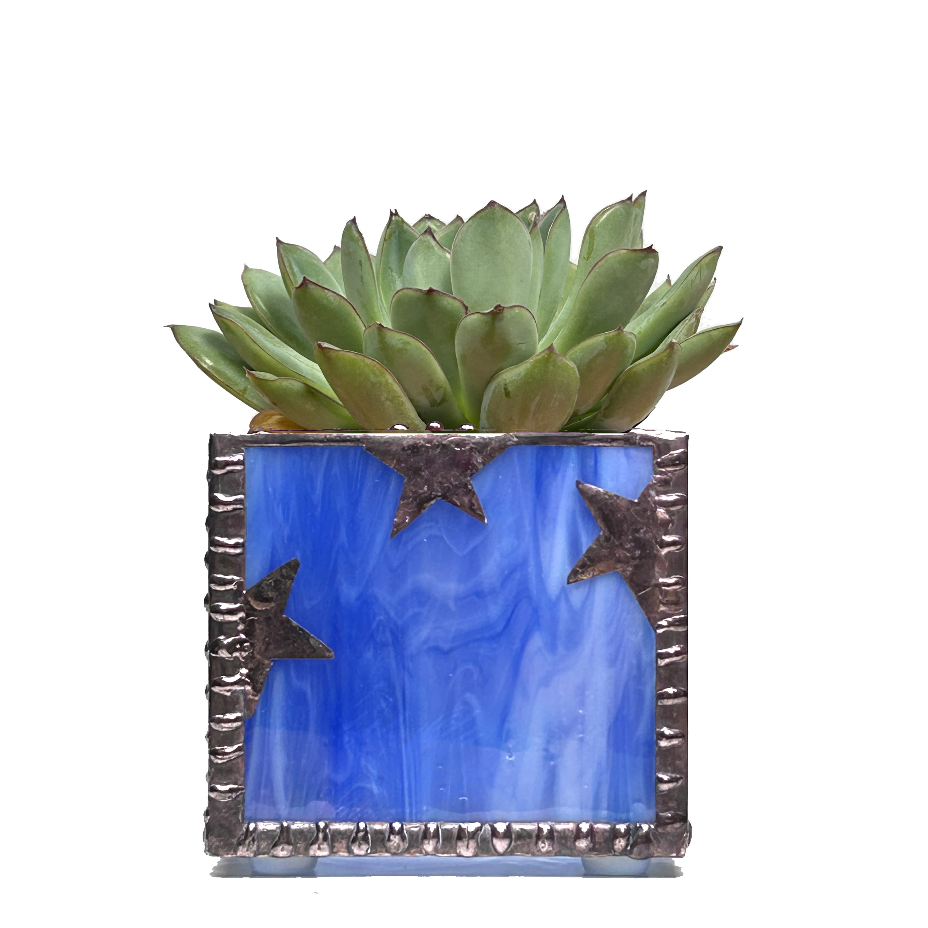 Stained Glass Succulent Planter Set