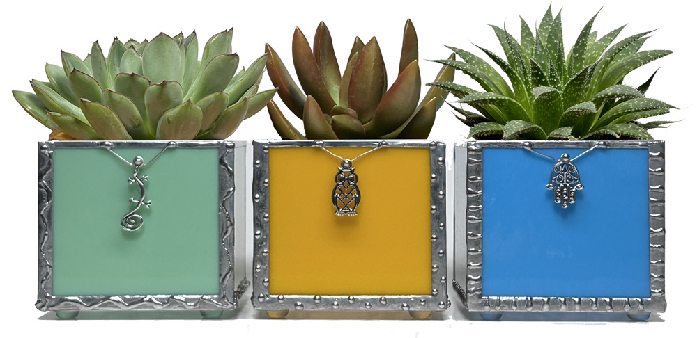 Colorful Succulent Planter Set