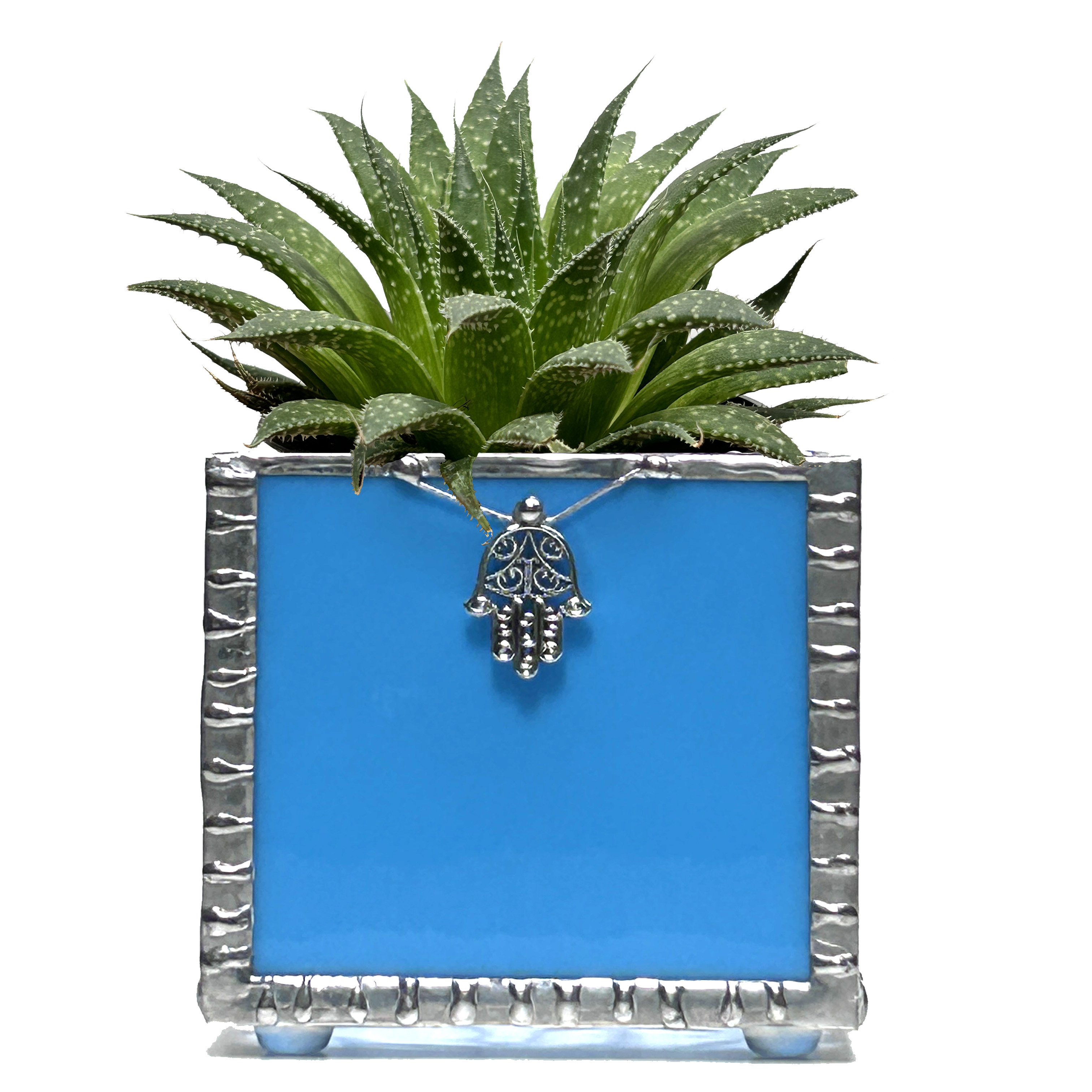 Colorful Succulent Planter Set