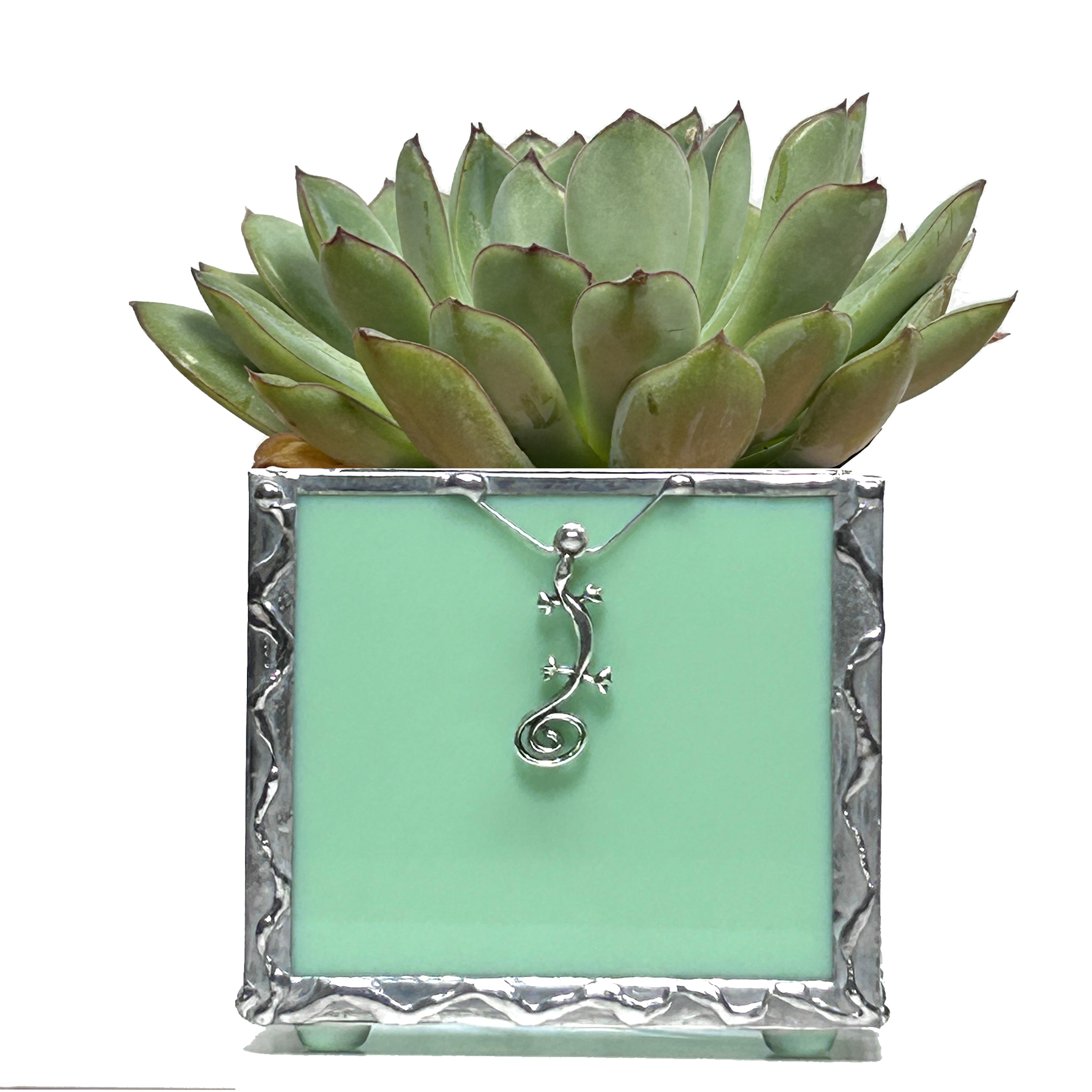 Colorful Succulent Planter Set