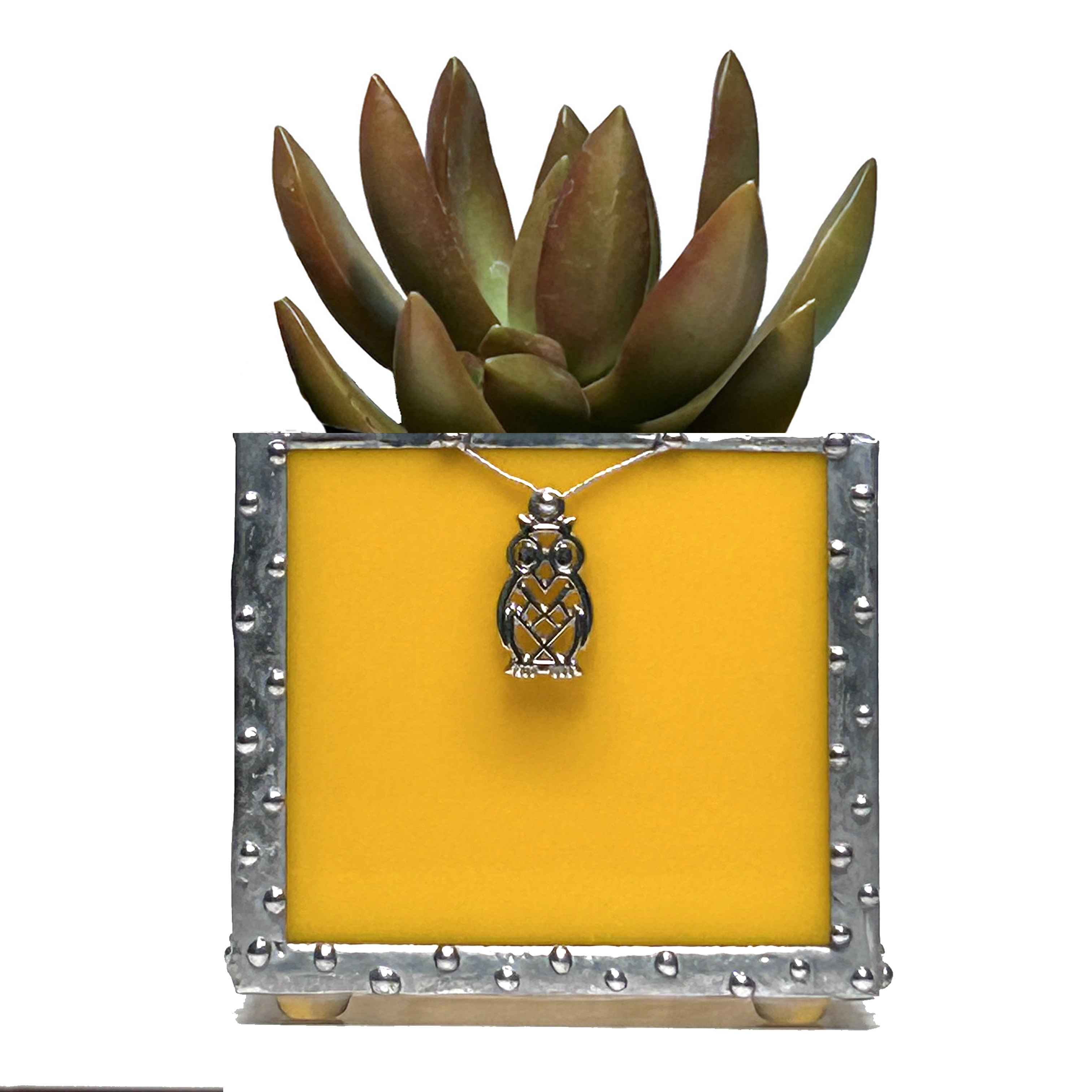 Colorful Succulent Planter Set