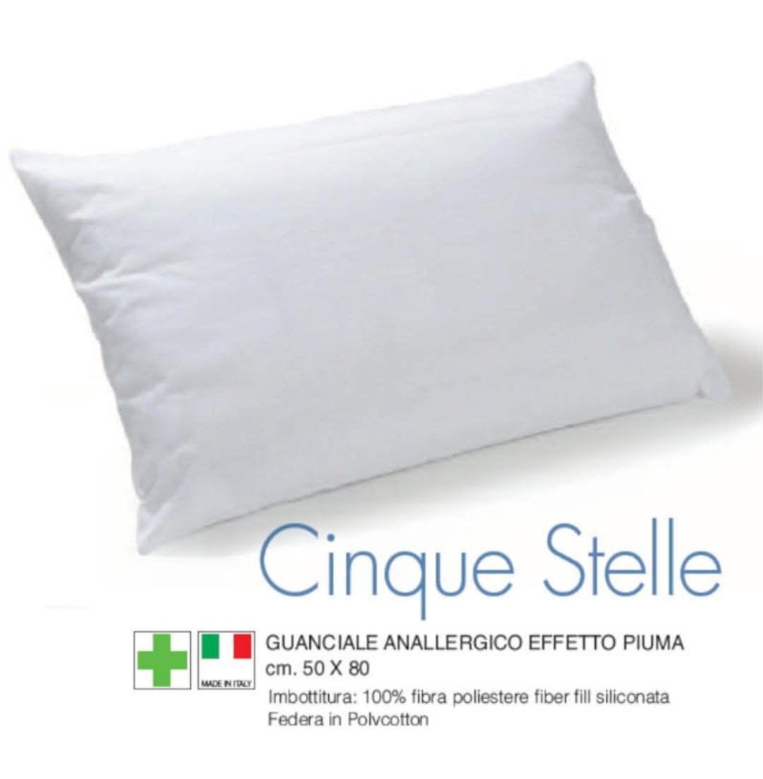 Guanciale Cinque stelle 