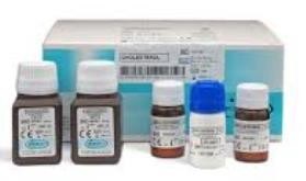 Ggt 20 x 2 ml. G-gt Marca spinreact