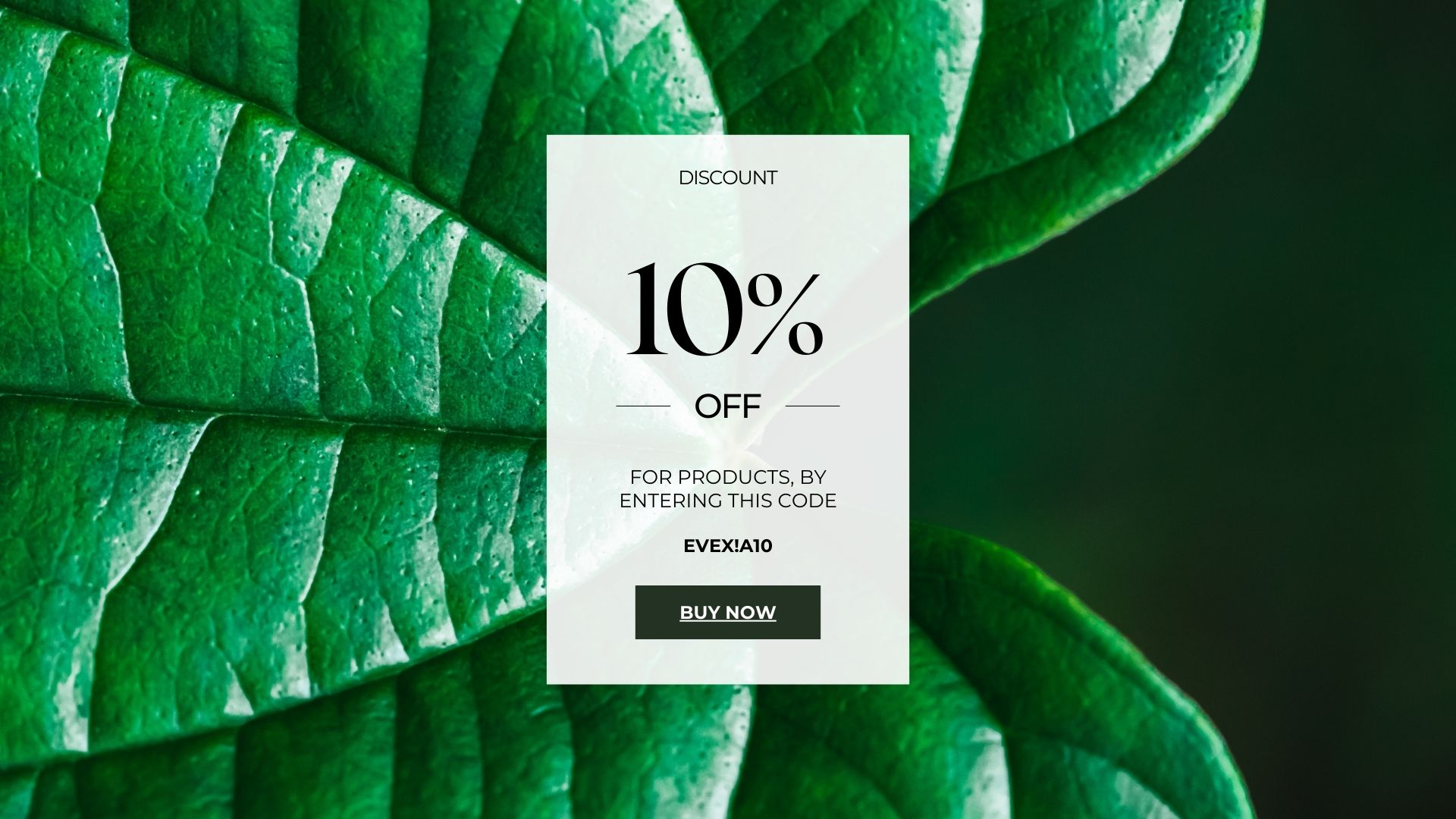 Individual Functional Medicine Consultation Session