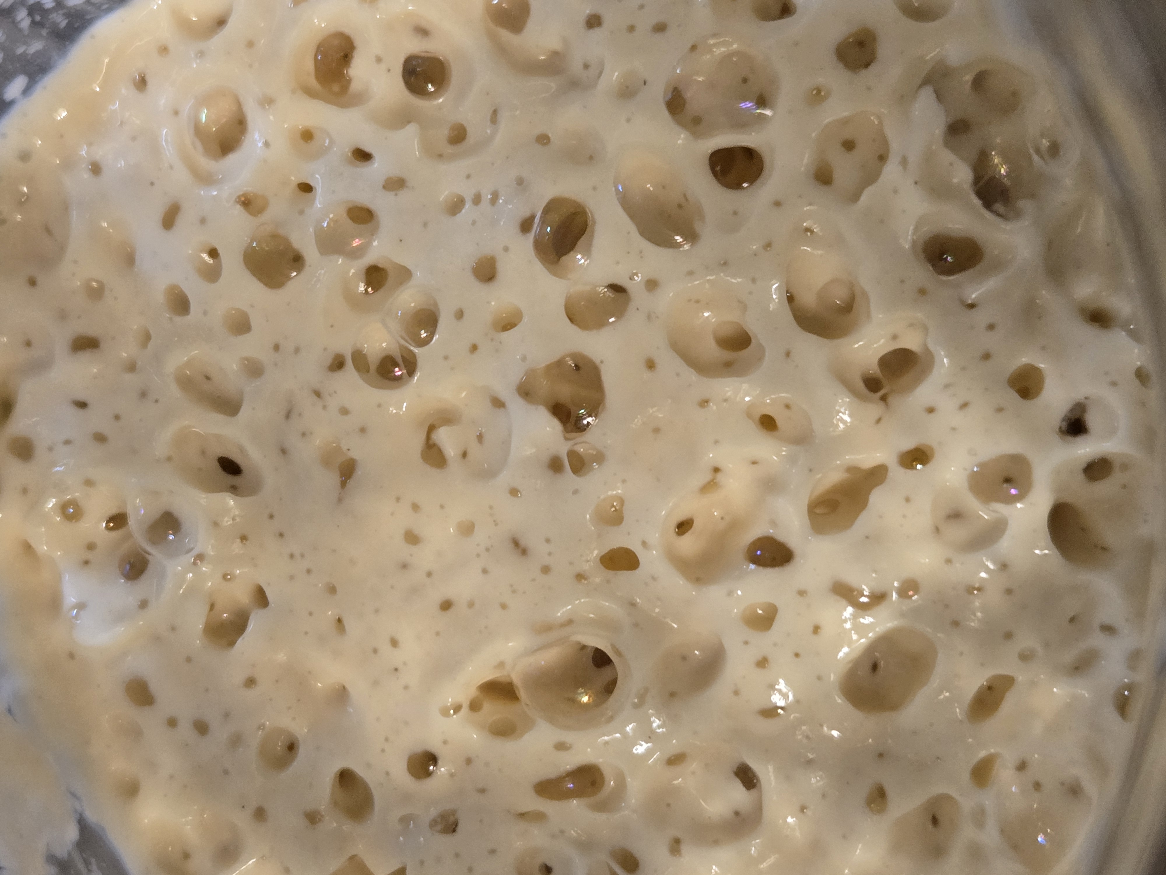 250-Year-Old Heritage Sourdough Starter (Dehydrated • 15g)