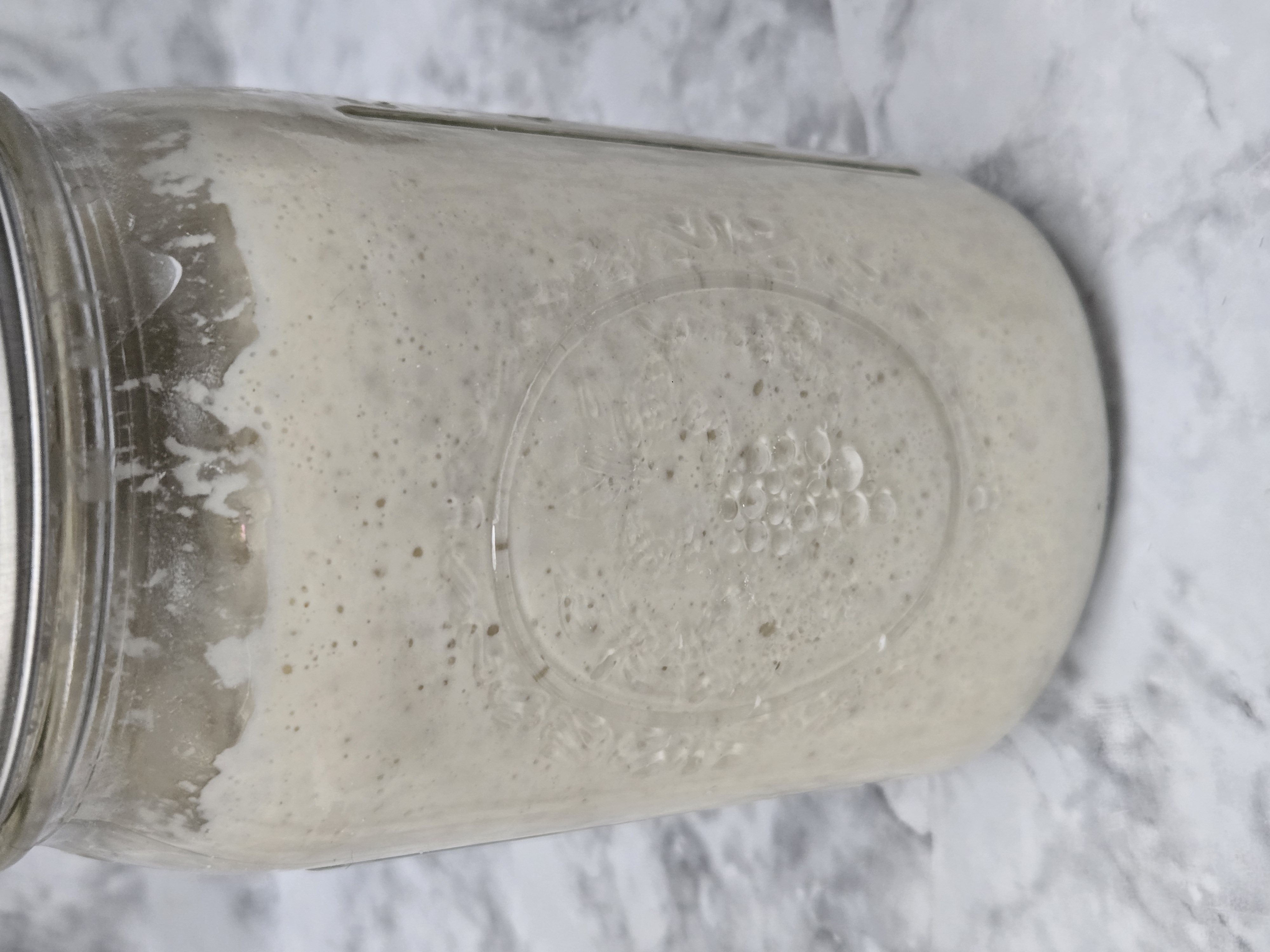 250-Year-Old Heritage Sourdough Starter (Dehydrated • 15g)