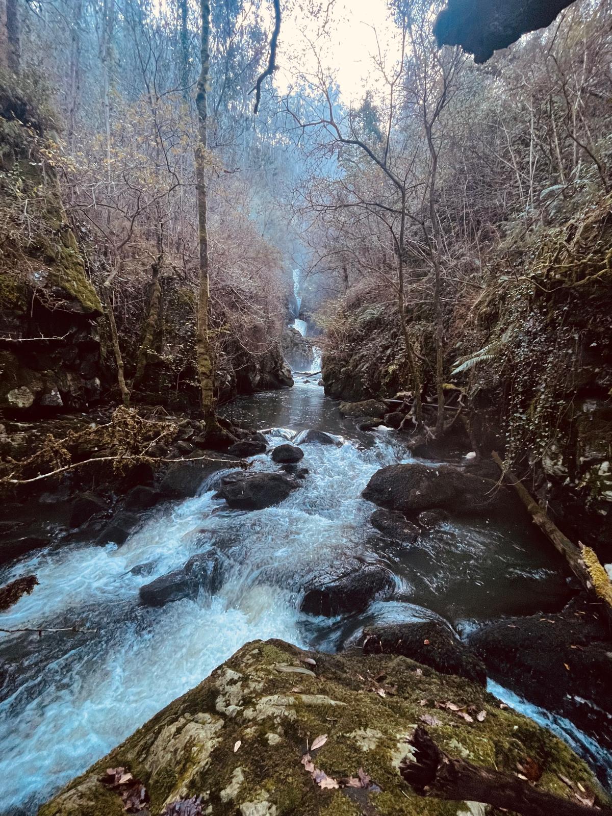 Sendero de Ferrerías en Valdoviño | Miércoles 1 abril - 10:00h