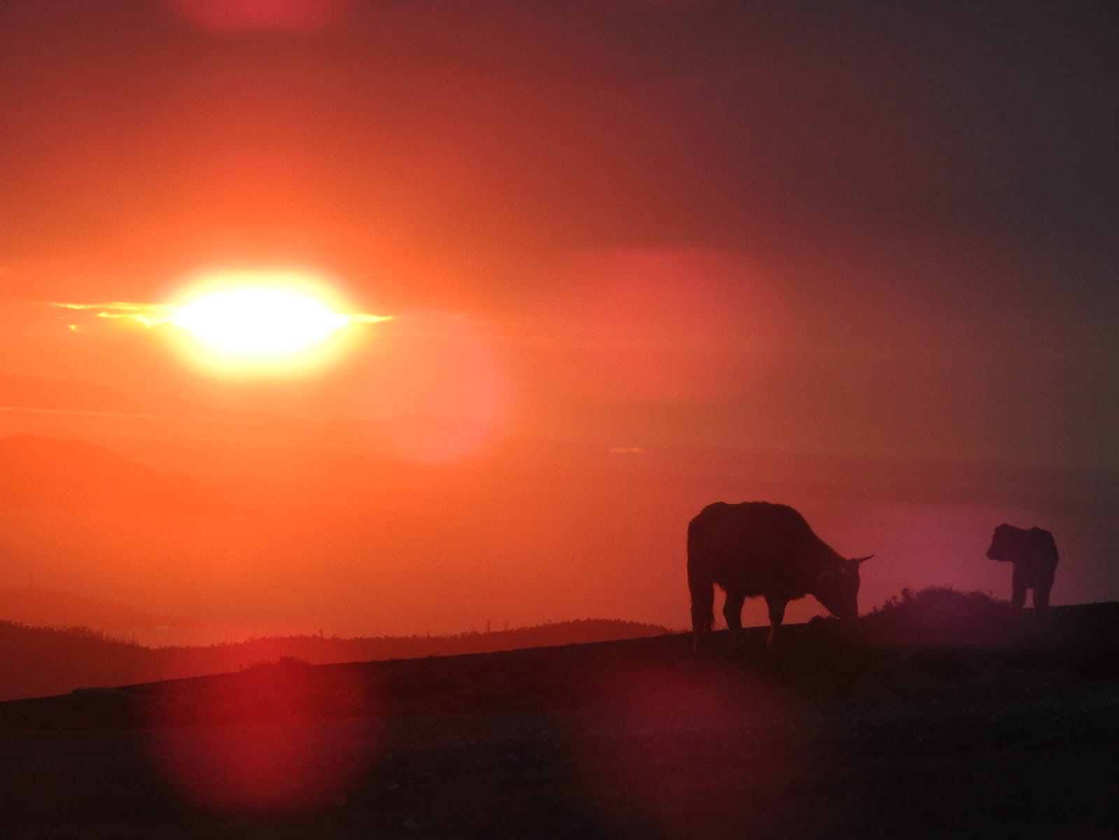 Altos de Santo André entre flora, fauna y geología | Jueves 2 abril - 16:00h
