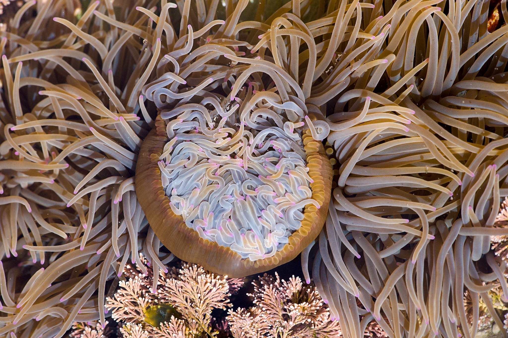 Ruta Acantilados de Loiba y Ribeira do Carro | Martes 31 marzo - 09:30h