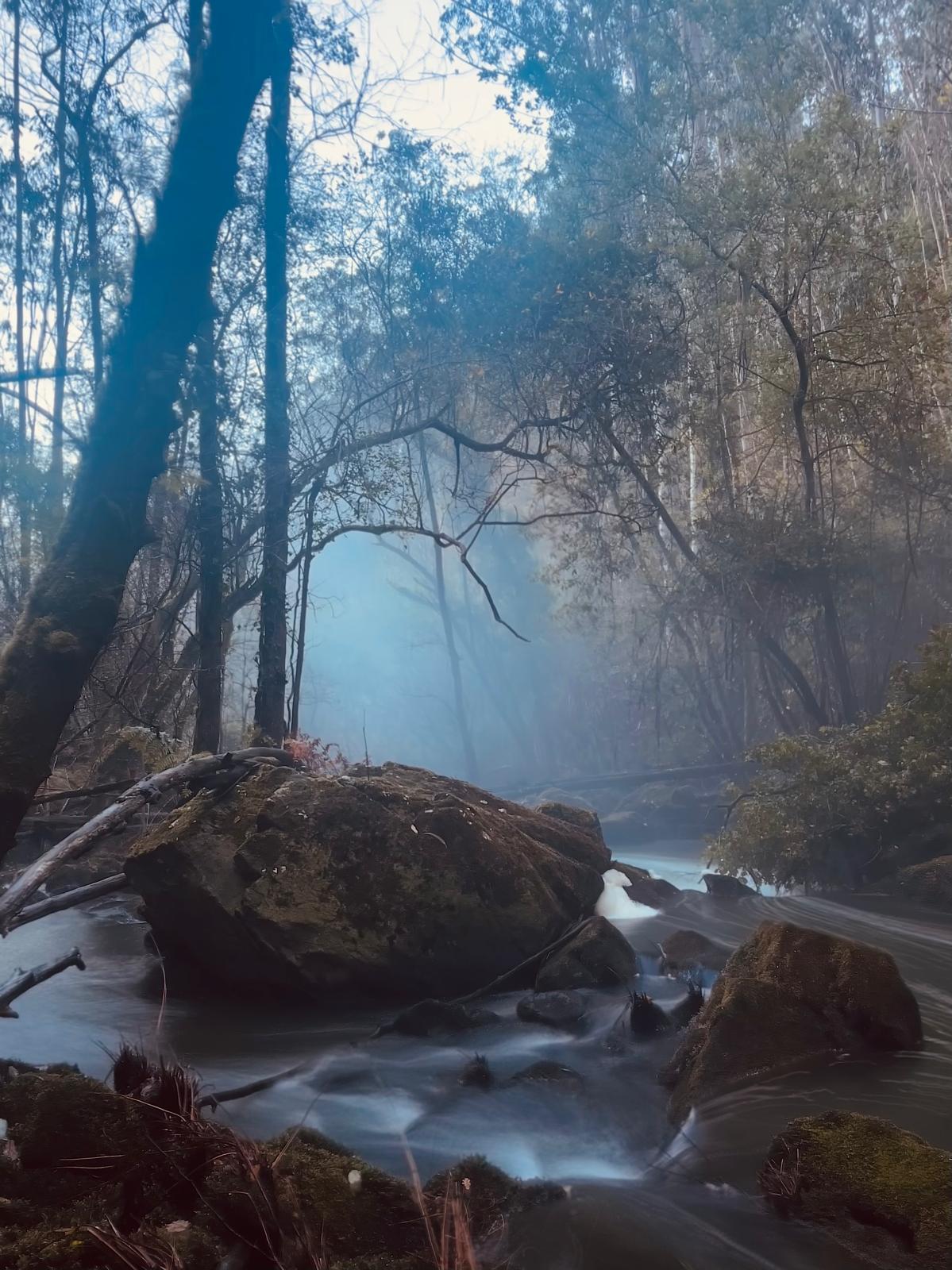 Sendero de Ferrerías en Valdoviño | Miércoles 1 abril - 10:00h