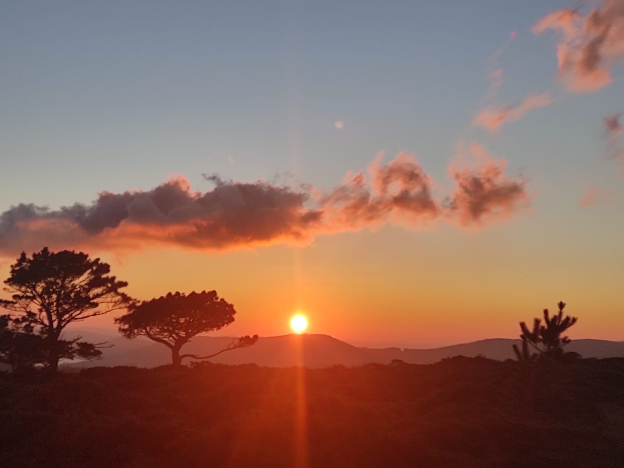 Altos de Santo André entre flora, fauna y geología | Jueves 2 abril - 16:00h