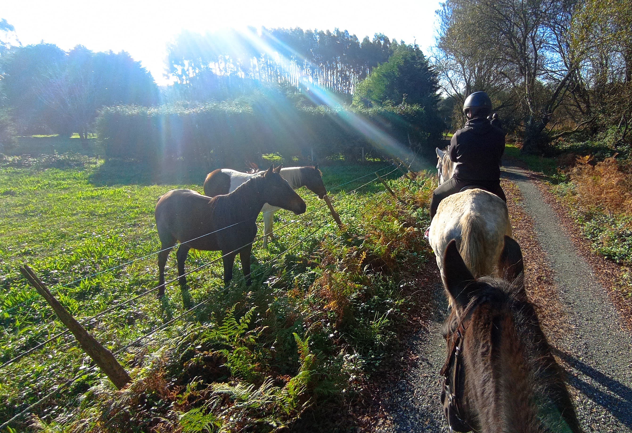 Ruta ecuestre de Meirás | Sábado 4 abril - 16:00h