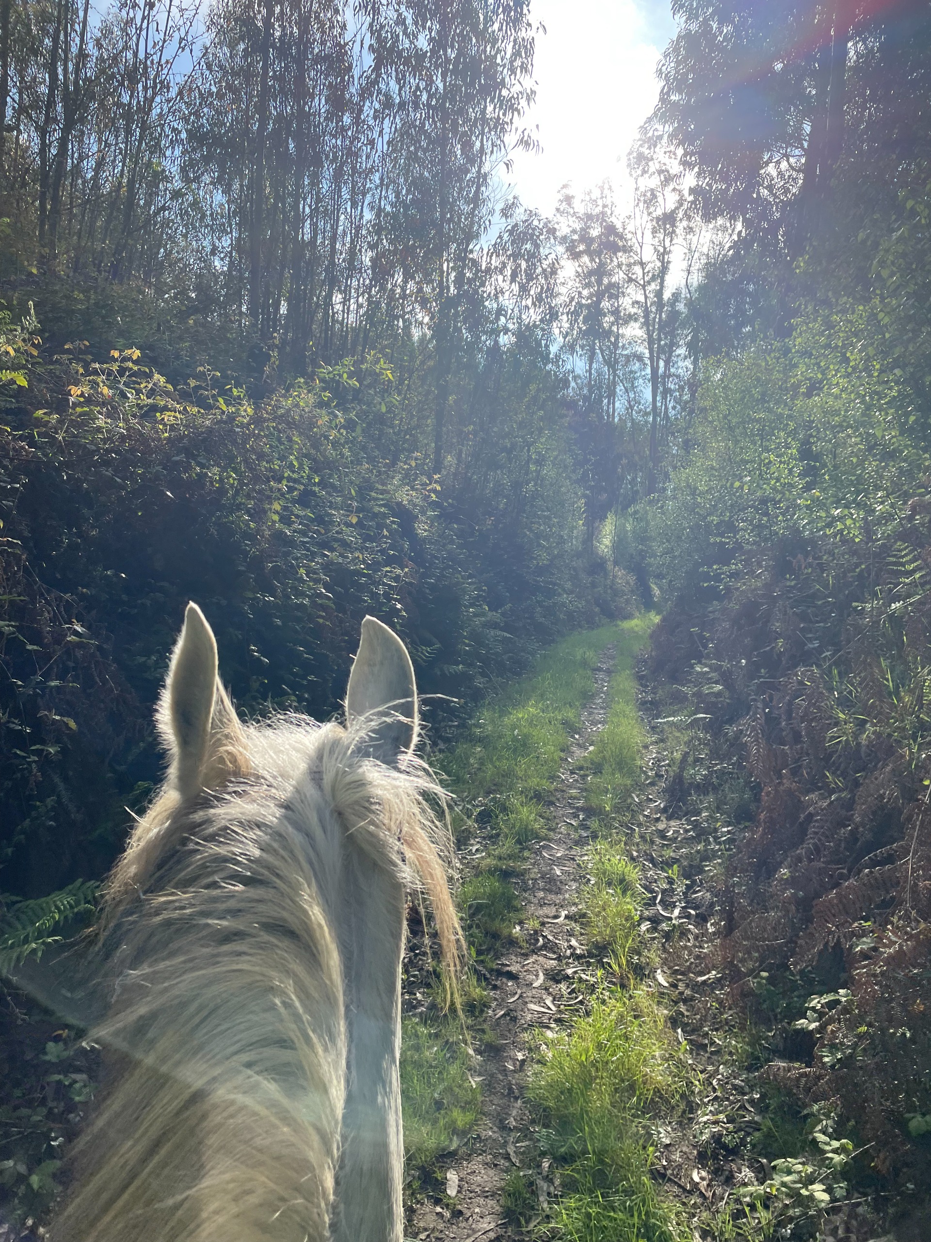 Ruta Cal da Loba a caballo | Domingo 29 marzo - 12:00h